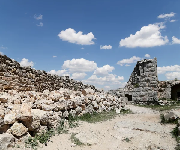 Айюбидский замок Аджлун на севере Иордании, построенный в XII веке, на Ближнем Востоке — стоковое фото
