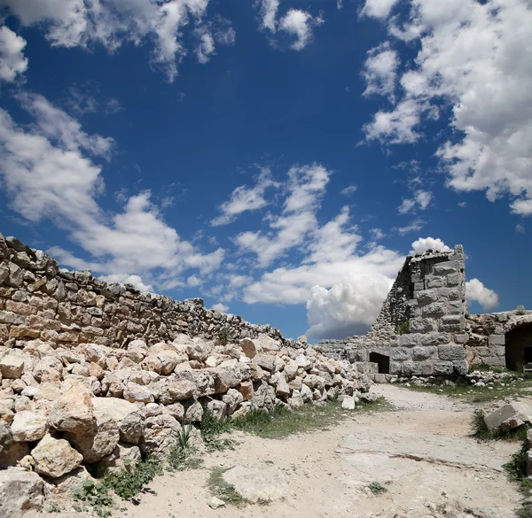 Ayyubid kale Ajloun içinde Kuzey Jordan, Orta Doğu 12 yüzyılda inşa edilmiş — Stok fotoğraf