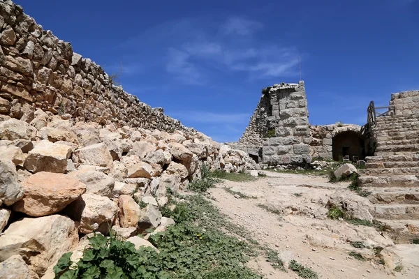 Ayyubid kale Ajloun içinde Kuzey Jordan, Orta Doğu 12 yüzyılda inşa edilmiş — Stok fotoğraf