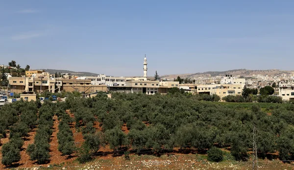 Pohled na krajinu z výše s Ajloun pevnosti, Jordan — Stock fotografie