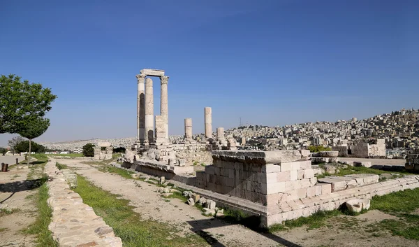 Hercules temploma, római korinthoszi oszlopok, a Citadella, amman, Jordánia — Stock Fotó