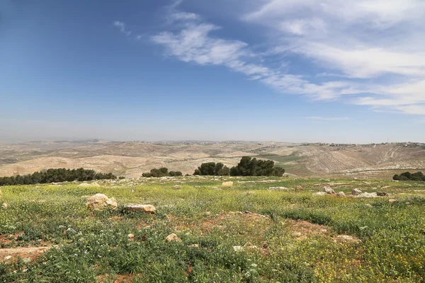 Stone desert with mountains, Jordan, Middle East — Stock Photo, Image