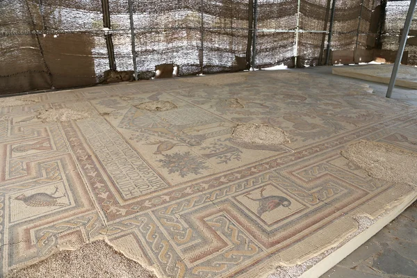 Ornate floor mosaics at the Basilica of Moses), Mount Nebo, Jordan — Stock Photo, Image