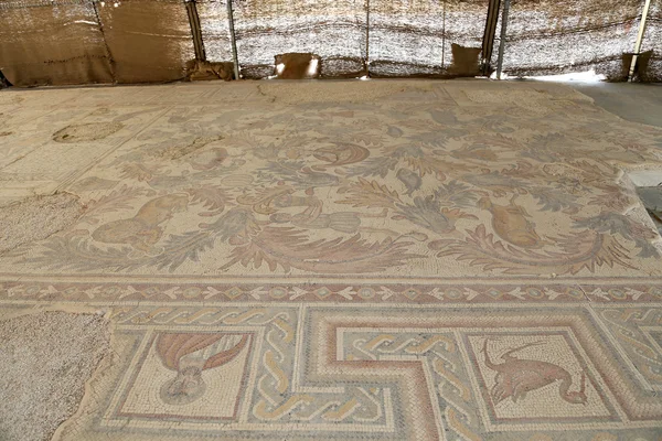 Ornate floor mosaics at the Basilica of Moses), Mount Nebo, Jordan — Stock Photo, Image