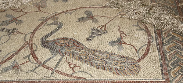 Mosaici ornati a pavimento nella Basilica di Mosè), Monte Nebo, Giordania — Foto Stock