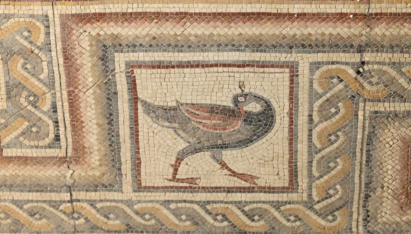 Mosaici ornati a pavimento nella Basilica di Mosè), Monte Nebo, Giordania — Foto Stock