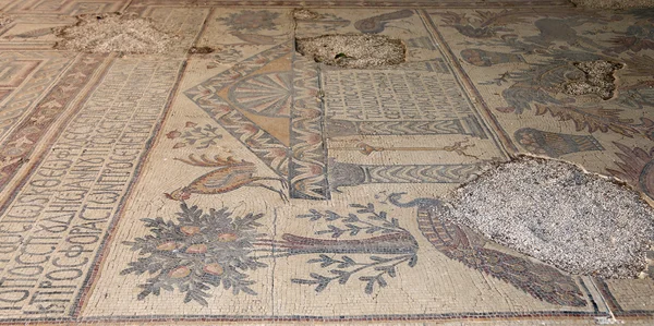 Mosaicos decorados en la Basílica de Moisés), Monte Nebo, Jordania —  Fotos de Stock