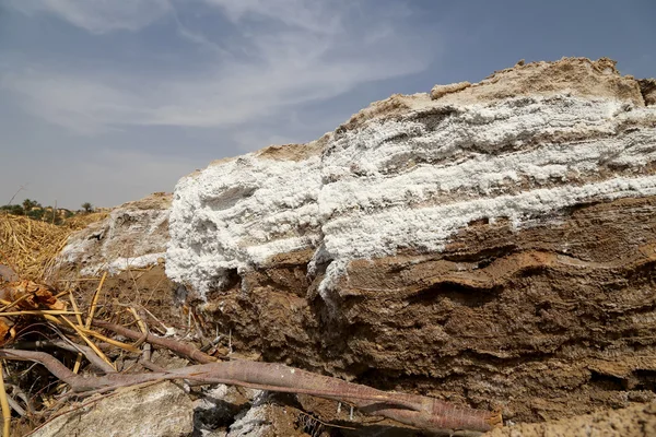 Sale del Mar Morto in Giordania, Medio Oriente — Foto Stock