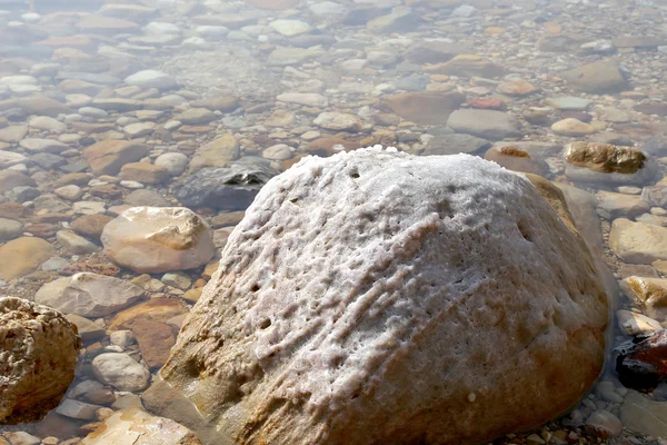 Jordan、中東の死海の塩 — ストック写真