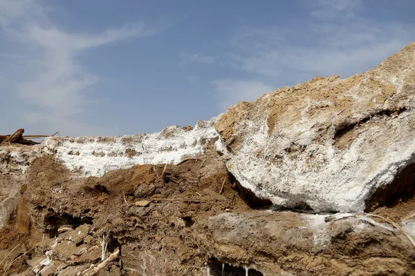 Dead sea salt på Jordan, Mellanöstern — Stockfoto