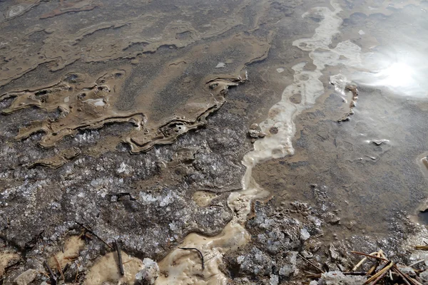 Il fango medico sulla riva del Mar Morto, Giordania — Foto Stock