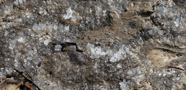 Der medizinische Schlamm am Ufer des Toten Meeres, Jordanien — Stockfoto