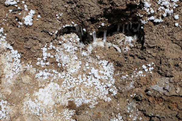 Dead sea salt på Jordan, Mellanöstern — Stockfoto