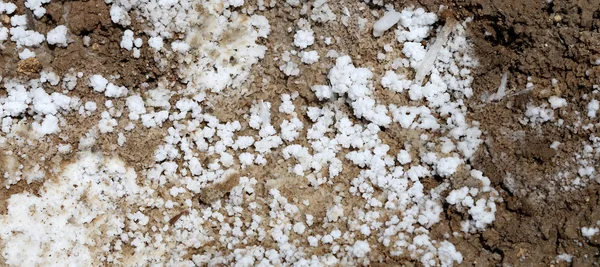 Dead sea salt at Jordan, Middle East — Stock Photo, Image