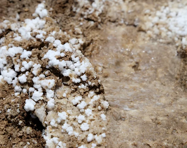 Dead sea salt på Jordan, Mellanöstern — Stockfoto