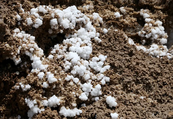 Halott tengeri só Jordániában, Közel-Keleten — Stock Fotó