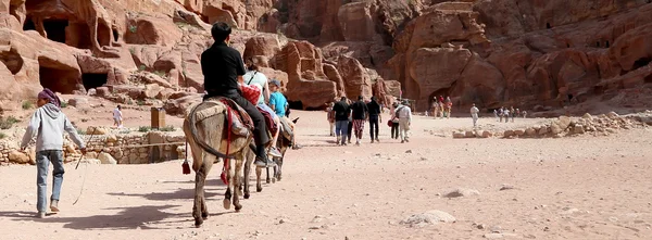 Tourists with Bedouins visiting the ancient ruins of Petra on donkeys, Jordan — стокове фото