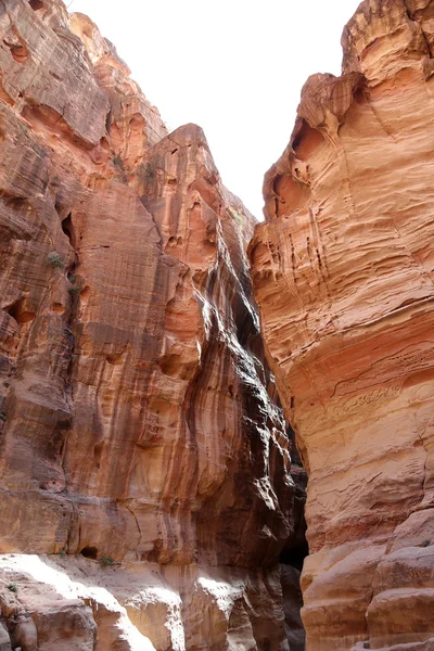 El camino de 1,2 km de largo (As-Siq) a la ciudad de Petra, Jordania es un símbolo de Jordania, así como la atracción turística más visitada de Jordania. Petra ha sido Patrimonio de la Humanidad por la UNESCO desde 1985 — Foto de Stock
