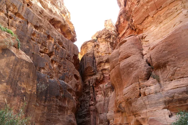 El camino de 1,2 km de largo (As-Siq) a la ciudad de Petra, Jordania es un símbolo de Jordania, así como la atracción turística más visitada de Jordania. Petra ha sido Patrimonio de la Humanidad por la UNESCO desde 1985 — Foto de Stock