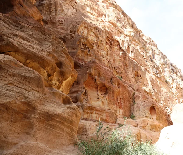 1,2 km lång sökvägen (som-Siq) till den staden Petra, Jordan--det är en symbol för Jordan, liksom Jordan's mest besökta turistattraktion. Petra har varit en UNESCO: S världsarvslista sedan 1985 — Stockfoto