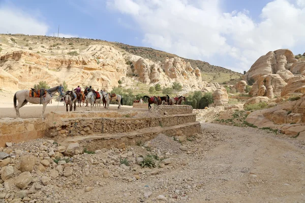 Petra, Ürdün-jordan, jordan'ın en çok ziyaret edilen turistik hem bir sembolü. Petra, 1985 yılından bu yana UNESCO tarafından dünya mirası oldu — Stok fotoğraf