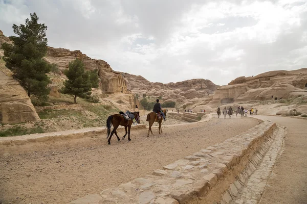 Bedouins on horseback in Petra,  Jordan — стокове фото