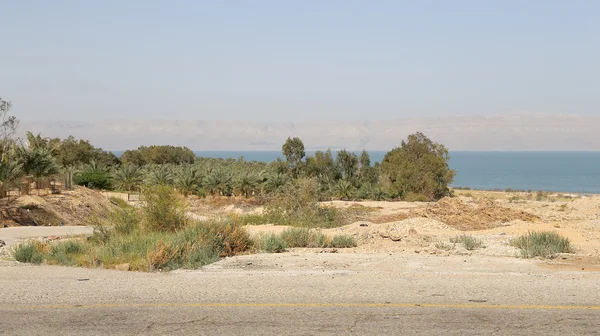 Dode Zeekust bij Jordan, Midden-Oosten — Stockfoto