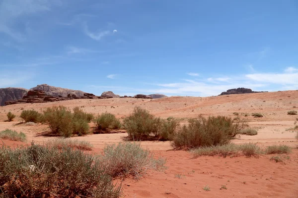 Пустыня Вади Рам, также известная как Долина Луны, представляет собой долину, вырубленную в песчанике и гранитной скале на юге Иордании в 60 км к востоку от Акабы — стоковое фото