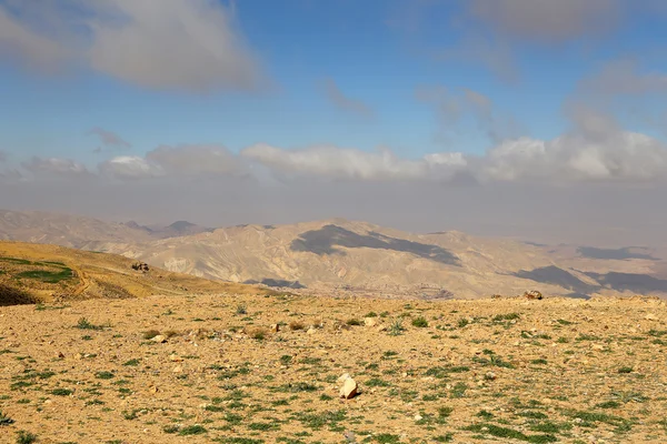 山の風景 (空撮)、Jordan、中東の砂漠します。 — ストック写真