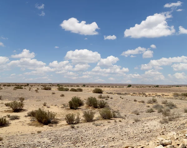 Deserto de pedra no centro da Jordânia, Oriente Médio — Fotografia de Stock