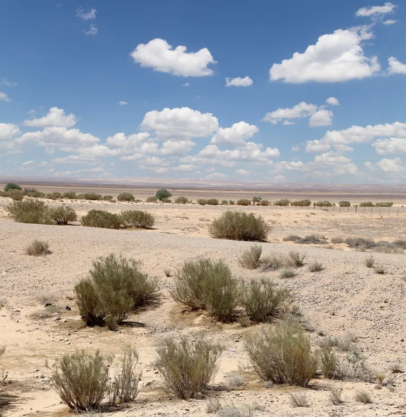 Stone woestijn in het centrum van Jordan, Midden-Oosten — Stockfoto