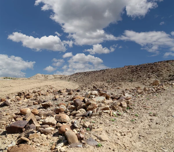 Deserto di pietra nel centro della Giordania, Medio Oriente — Foto Stock