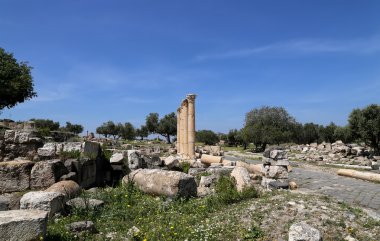 Roma kalıntıları um Birol (um Qays)--Gadara antik kent sitesi yakınındaki kuzey Jordan ın