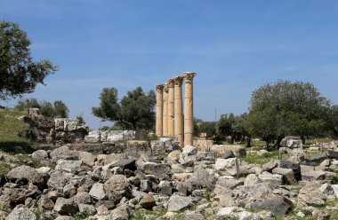 Roma kalıntıları um Birol (um Qays)--Gadara antik kent sitesi yakınındaki kuzey Jordan ın