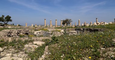 Roma kalıntıları um Birol (um Qays)--Gadara antik kent sitesi yakınındaki kuzey Jordan ın