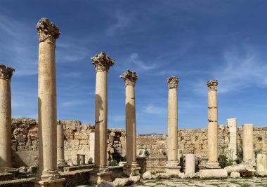 rzymskie kolumny w Jordanii miasta jerash (Gerazie starożytności), stolica i największe miasto guberni jerash, jordan