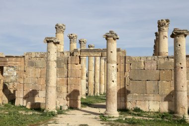 rzymskie kolumny w Jordanii miasta jerash (Gerazie starożytności), stolica i największe miasto guberni jerash, jordan