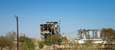 Çölde, Jordan, Ortadoğu modern bitki