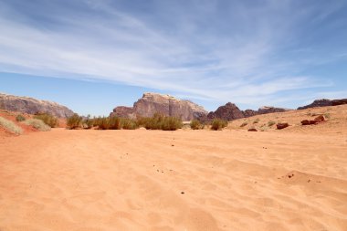 Wadi Rum çöl olarak da bilinen The Valley ayın Güney Jordan kumtaşı ve granit kayaya oyulmuş bir vadi olduğunu.
