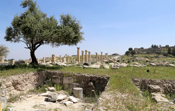 ローマの遺跡で um Qais (um Qays)-北部 Jordan ゲラサの古代町の現場近くにある町です — ストック写真