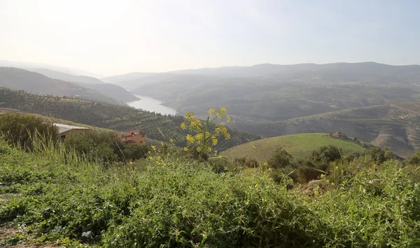 Bjerglandskab, Jordan, Mellemøsten (fotografering fra et højdepunkt ) - Stock-foto