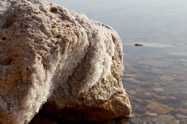 Dead sea salt at Jordan, Middle East — Stock Photo, Image