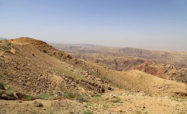 Paysage montagneux du désert, Jordanie, Moyen-Orient — Photo