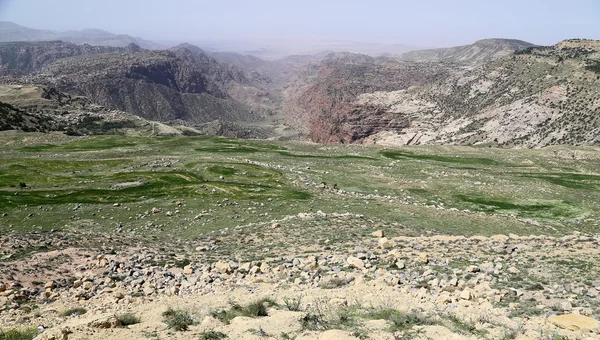 Wüste Berglandschaft, Jordanien, Naher Osten — Stockfoto