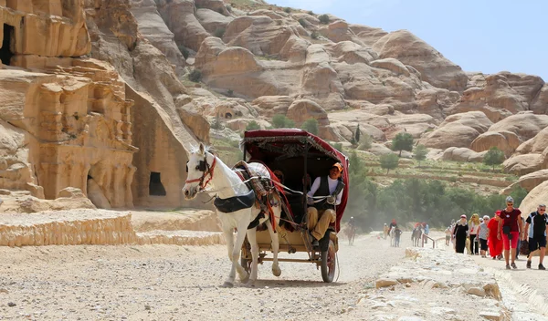 Petra, Jordan - kwiecień 09, 2014.Touris transportu (przewozu) w Petra, Jordan — Zdjęcie stockowe