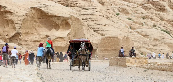 Petra, Jordan - kwiecień 09, 2014.Touris transportu (przewozu) w Petra, Jordan — Zdjęcie stockowe