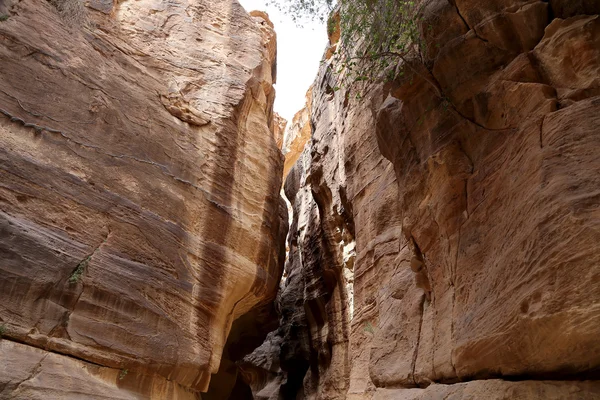 1,2 km lång Stig (som-Siq) till staden av Petra, Jordan — Stockfoto