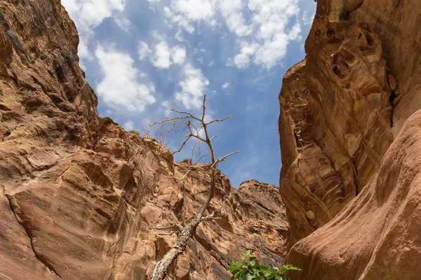 Frammento di roccia nel sentiero lungo 1,2 km (As-Siq) nella città di Petra, Giordania — Foto Stock
