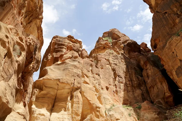 Fragment de roche dans le sentier de 1,2 km de long (As-Siq) dans la ville de Petra, Jordanie — Photo