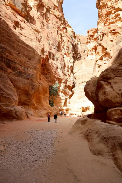 佩特拉，Jordan-2014 年 4 月 9 日。1.2 公里长路径 (作为 Siq) 对城市佩特拉，Jordan — 图库照片